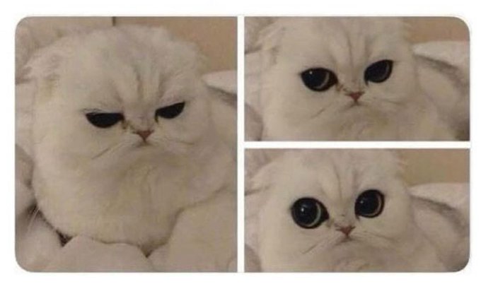 Watch Danyancat 🐰's leaked NSFW photo on TwXstars