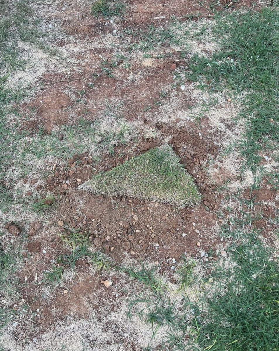 MiguelVegaTurf's tweet image. Today. I try a triangle