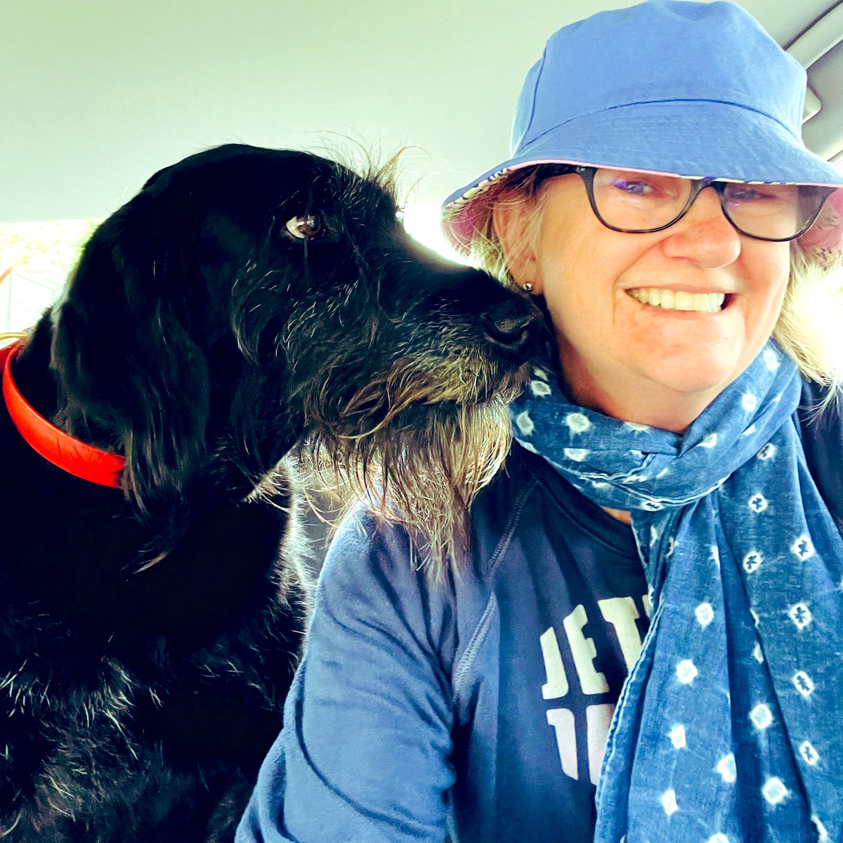 Riding in the back seat with dogs, La Jolla, part one.  Mumbles showing me da sights! Memorial Day Weekend 5/29/23 <a href="/richlfahey/">Richard Fahey</a>