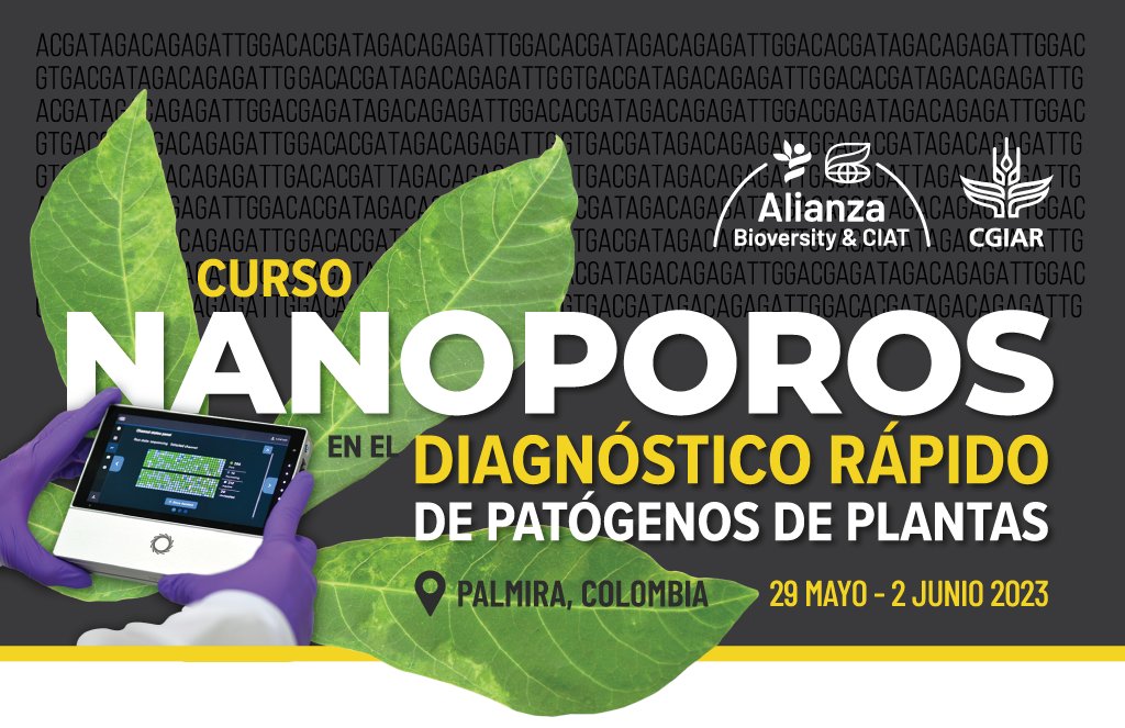 📣Queremos compartir otro importante evento que se está llevando a cabo esta semana en nuestro campus de Palmira: el segundo taller de nanoporos en el diagnóstico rápido de patógenos de plantas. 🌿🐛
👉bit.ly/3IpLfCO

<a href="/Senasa_Peru/">Senasa Perú</a> <a href="/INIAPeru/">INIA Perú</a>