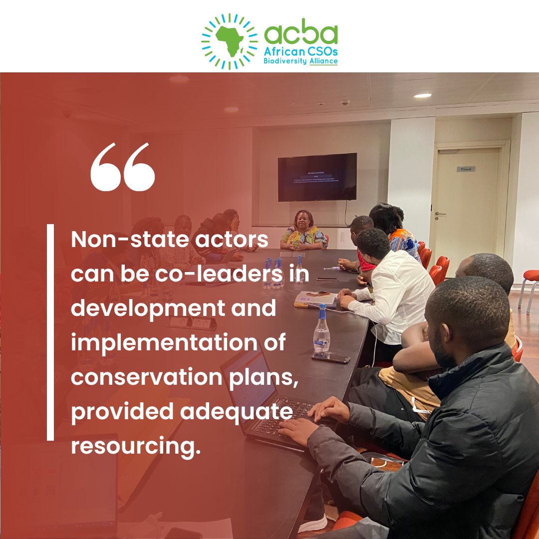 During the meeting hosted by the @AfricanUnion regarding implementing @UNBiodiversity #COP15 and @CITES #COP19, we as ACBA members are looking to assist governments in developing and implementing National Biodiversity Strategies and Action Plans.
