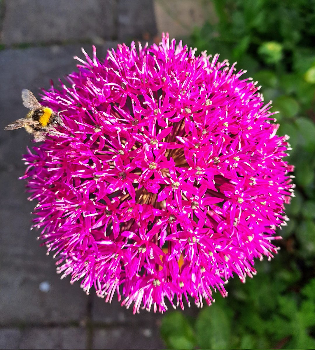 Helen Challis tweet media