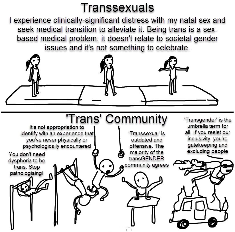 @pullen_lynn @TPointUK @rizpossnett What I mean is that transsexualism and ‘nonbinary’ (aka: transvestism and Advanced Transvestism) are fundamentally different. Transsexualism isn't about challenging or deconstructing societal gender roles - it's about a very visceral, personal disconnect between our physical…