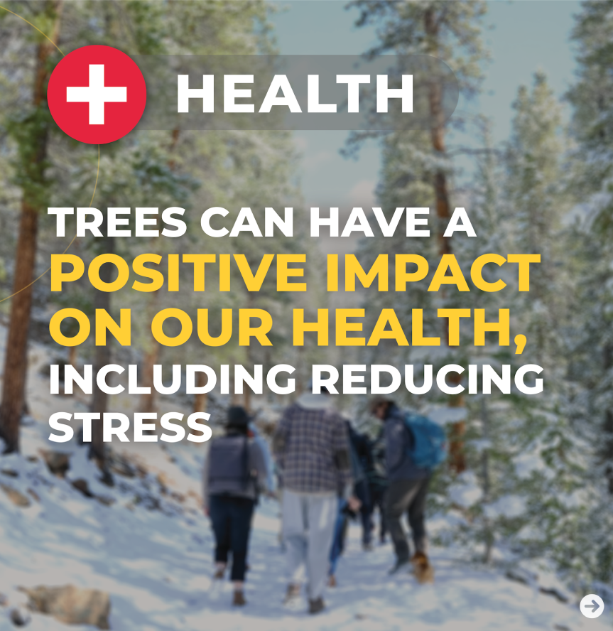 Did you know trees have an impact on our health? ❤️‍🩹🌱

Trees influence our health in many ways, including:
🍃 Air Purification
🌡 Temperature Regulation
🧠 Mental Well-being
🚶 Physical Health

Plant trees to support health in Brazil today!🌿👇
ow.ly/Gz6z50Oz1hY