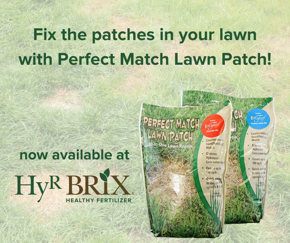 HyRBrix's tweet photo. Shop a variety of grass seed at HyR BRIX!
https://t.co/S2YeGsqU7d https://t.co/t72Z81KggL