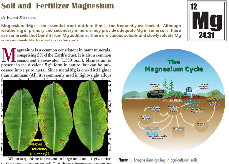 Magnesium frequently overlooked nutrient. Mineral weathering provides Mg, but crops may benefit from added Mg. Many good Mg sources available. lnkd.in/gVVSdBt5 Deeper dive here lnkd.in/gf2GZ-Tb Lucky to have @merle_trk Mg-specialist at @yara @DharmaPitchay for pics