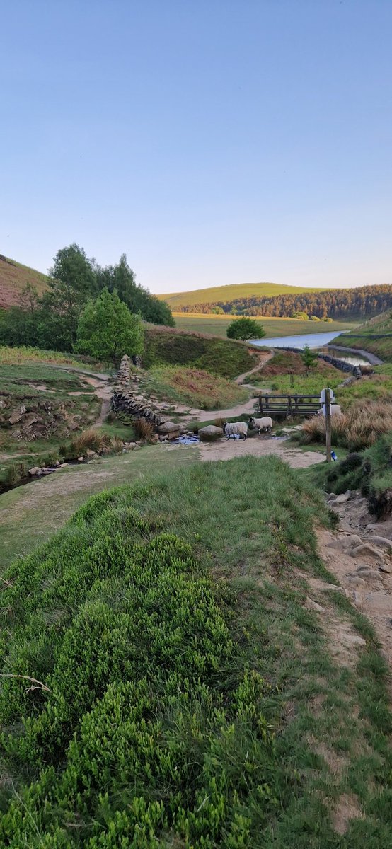 claire_l_jarvis's tweet photo. #PeakDistrictProud What a way to spend a Bank Holiday Monday - definitely be back! @nationaltrust #fitcation #walking #hiking #kinderscout #beautiful #nature #healthymind #wellbeing #serotonin #metime #needed https://t.co/0dwFVDhpsJ