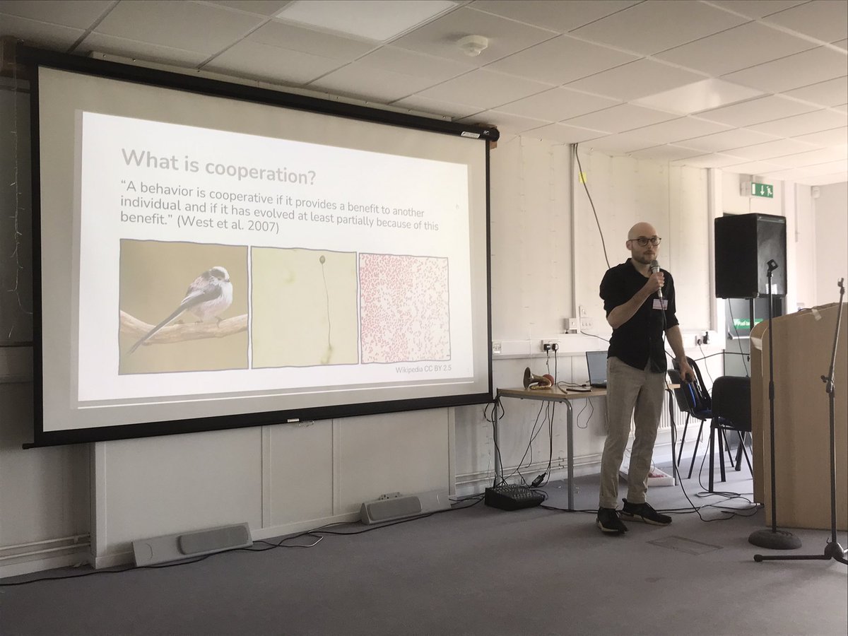 94sMagnus's tweet photo. Super cool talk by my colleague @raphaelritter_ talking about sawfly larvae today at #EMPSEB28. 🐛🐛🐛
#LUOVA #behavioralecology #evolution #entomology https://t.co/PThDokEeTB