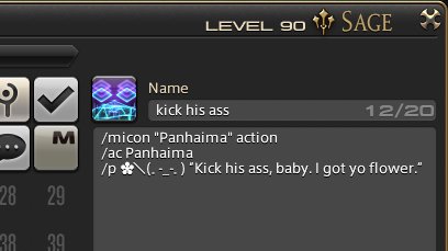 In honor of P9S-P12S prog, matching macros for you and your WHM cohealer.