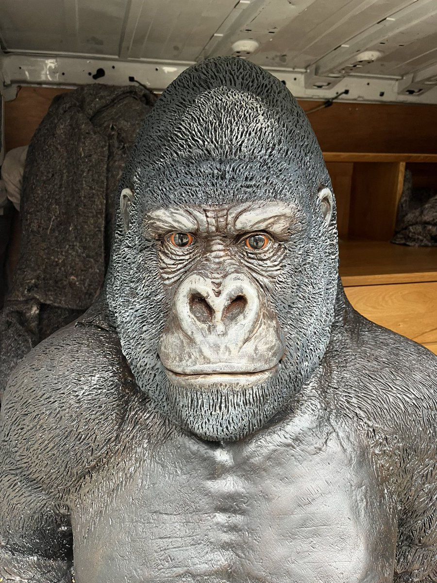 The award for today’s most unusual transported item goes to this fibreglass gorilla 😀