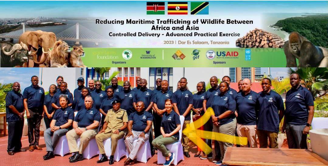 Dagmar Midcap (@dagmarnbcsd) on Twitter photo Hi & hope youโre well ๐ I just returned from Dar es Salaam, Tanzania (thatโs me in the bottom right corner) for a Homeland Security Investigations / multi national training session on global wildlife crime. gracefarms.org & <a href="/RodKhattabi/">Rod Khattabi</a> ๐๐ป๐๐ป. The story will grow!! Hi & hope youโre well ๐ I just returned from Dar es Salaam, Tanzania (thatโs me in the bottom right corner) for a Homeland Security Investigations / multi national training session on global wildlife crime. gracefarms.org & <a href="/RodKhattabi/">Rod Khattabi</a> ๐๐ป๐๐ป. The story will grow!!