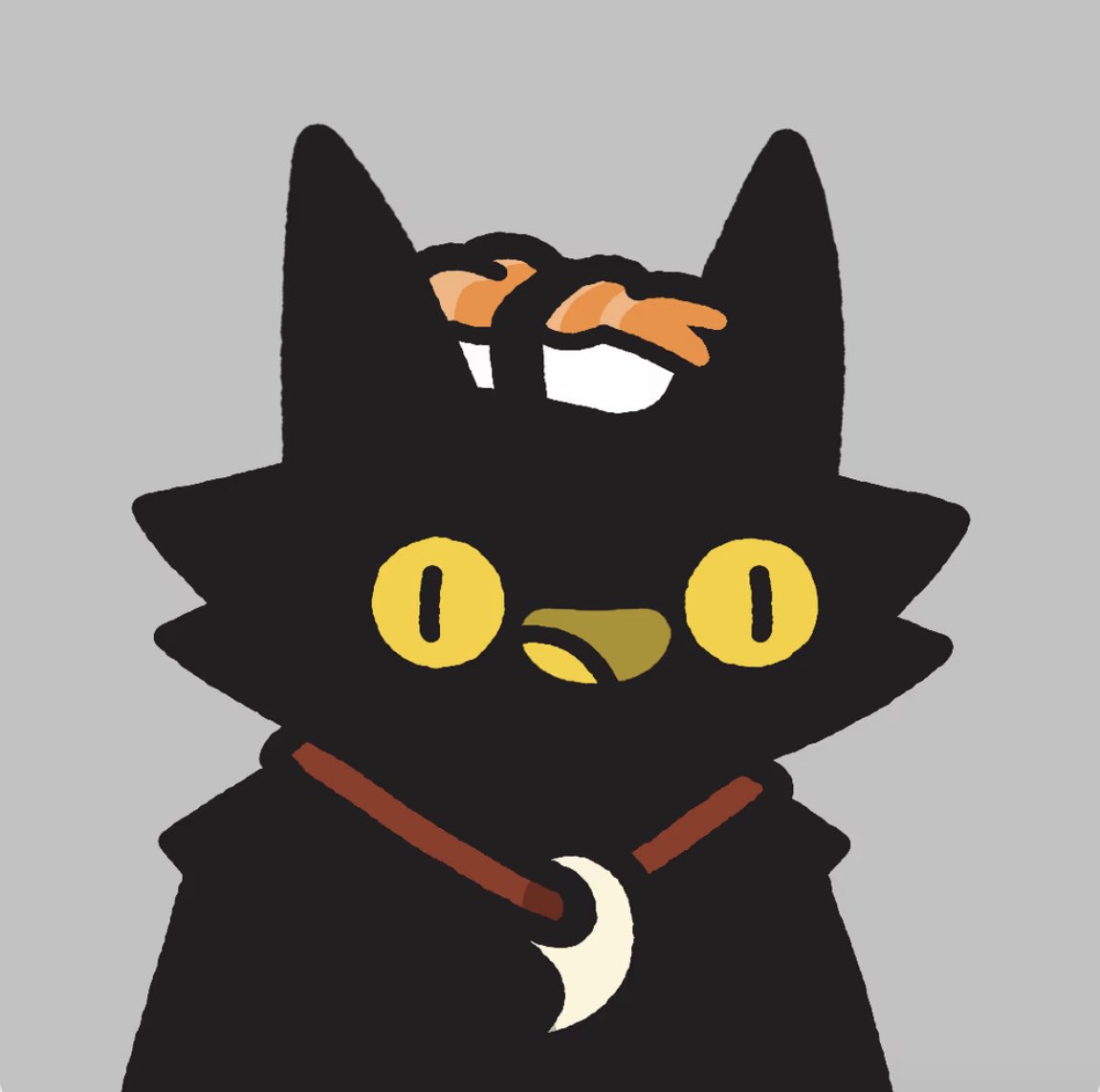 Cool Cats tweet media