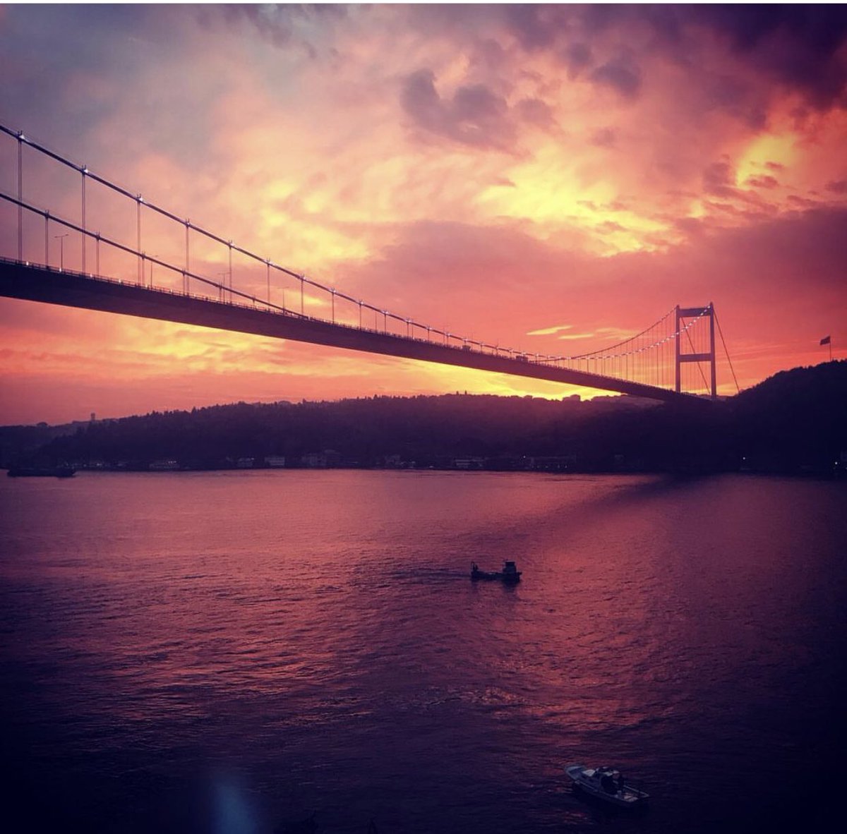 cefi kamhi 🇹🇷 tweet media