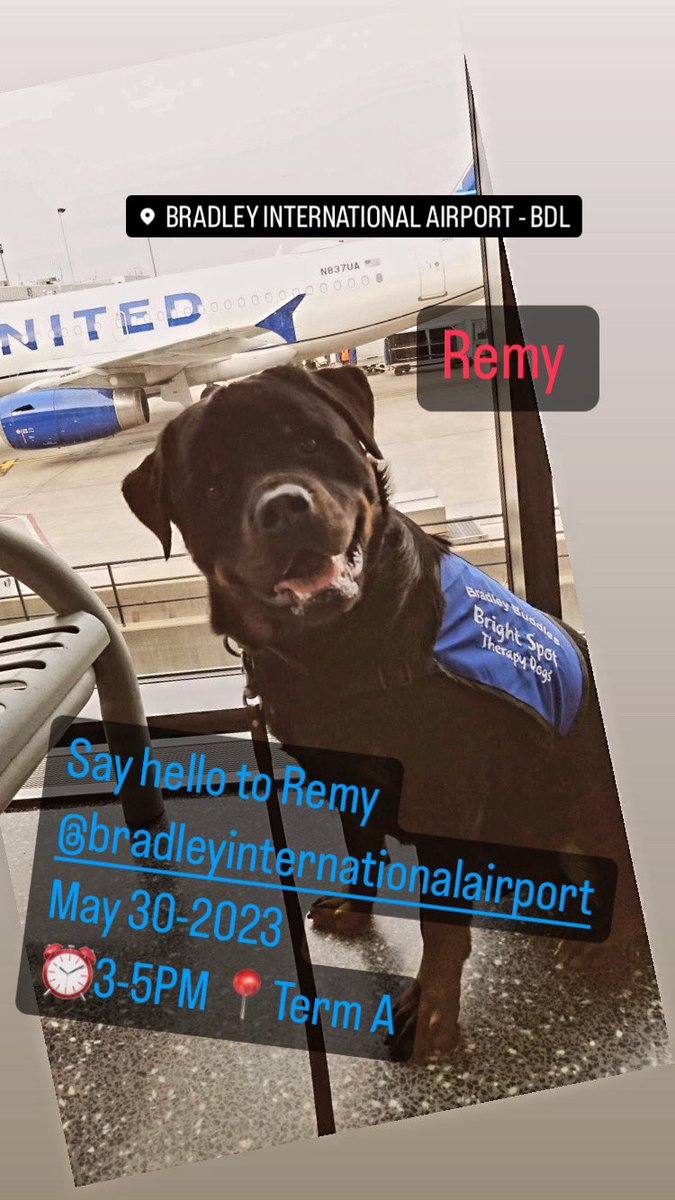 Say hello to Remy @Bradley_Airport 
May 30-2023
⏰3-5PM 📍Term A

#airporttherapydogs 

Photo Andi MC via Facebook