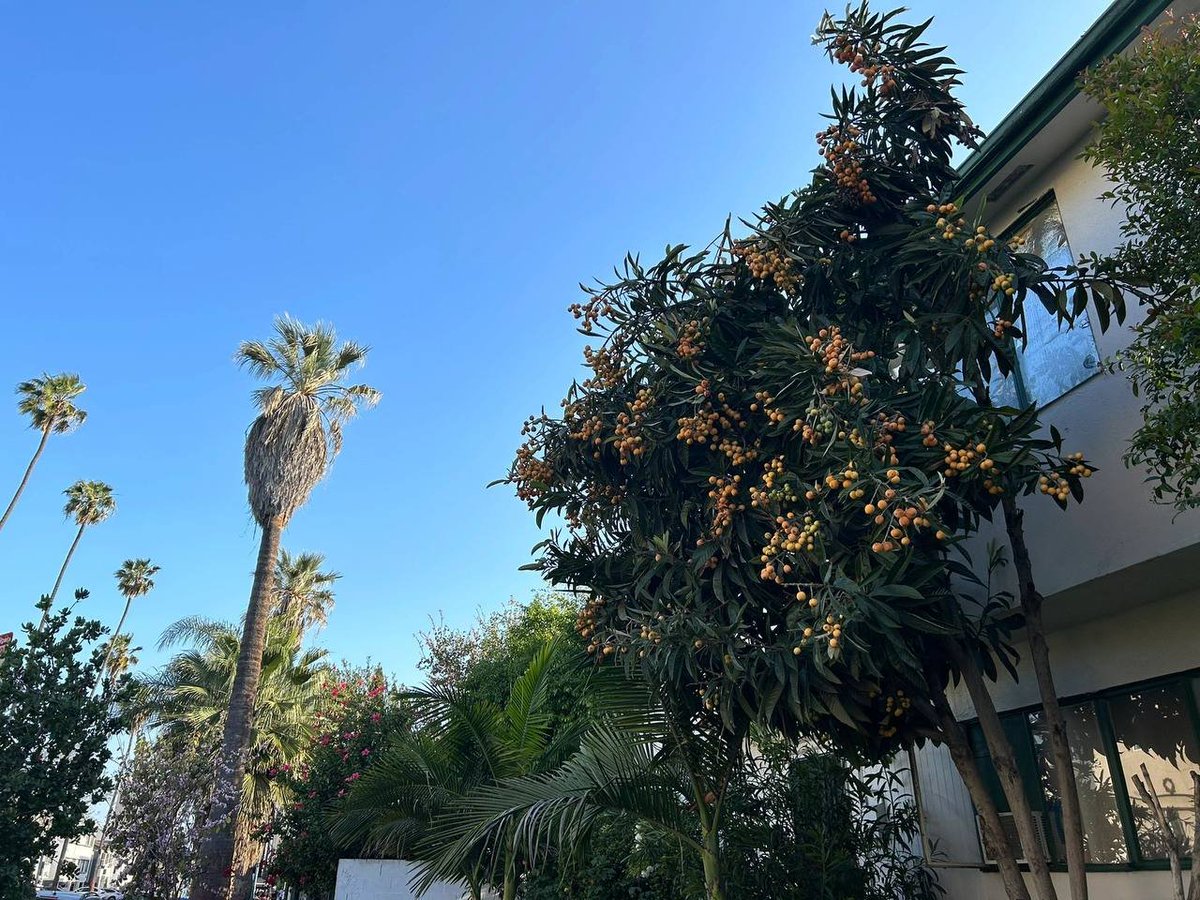 Ada (@mspenglish36) on Twitter photo 