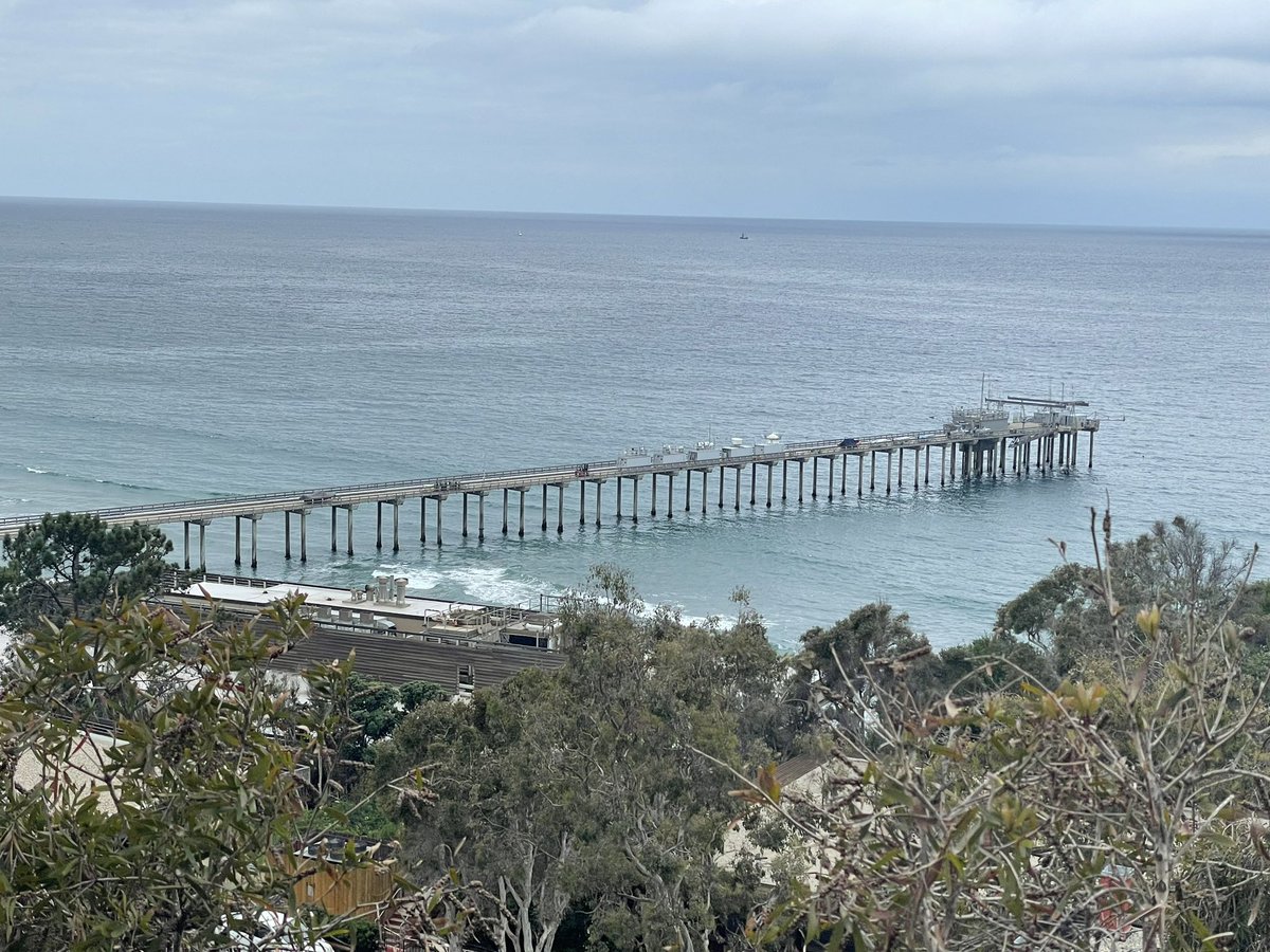 Riding in the back seat with dogs, La Jolla, part two. Bondi &amp; I riding back to his mid-century ranch, after the am work commute (on foot), with Greg. Wanted to stay, but I have a flight to catch &amp; Bondi is riding with me to make sure I make plane! <a href="/leshill/">Les Hill</a> <a href="/richlfahey/">Richard Fahey</a>