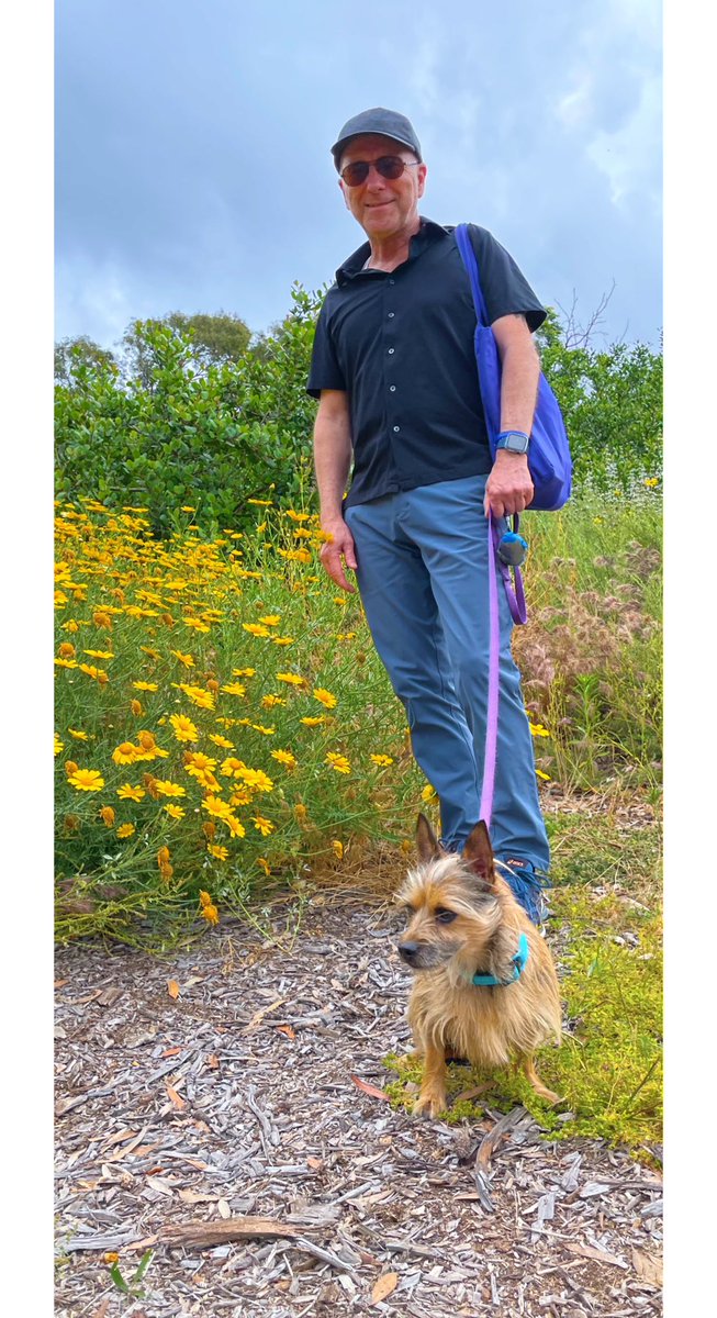 Megan Thomas tweet media