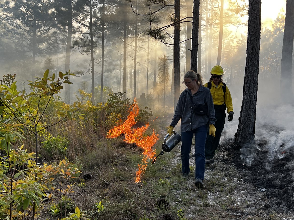 New Blog Post: Learning About Burning: A Photo Story is up on our website! 
'The use of prescribed fire, or controlled burning, is a practice used by people across the Southeast in land management.' foresthernc.org/post/learning-… 
#ForestHer #ForestHerNC #Fire #PrescribedBurn