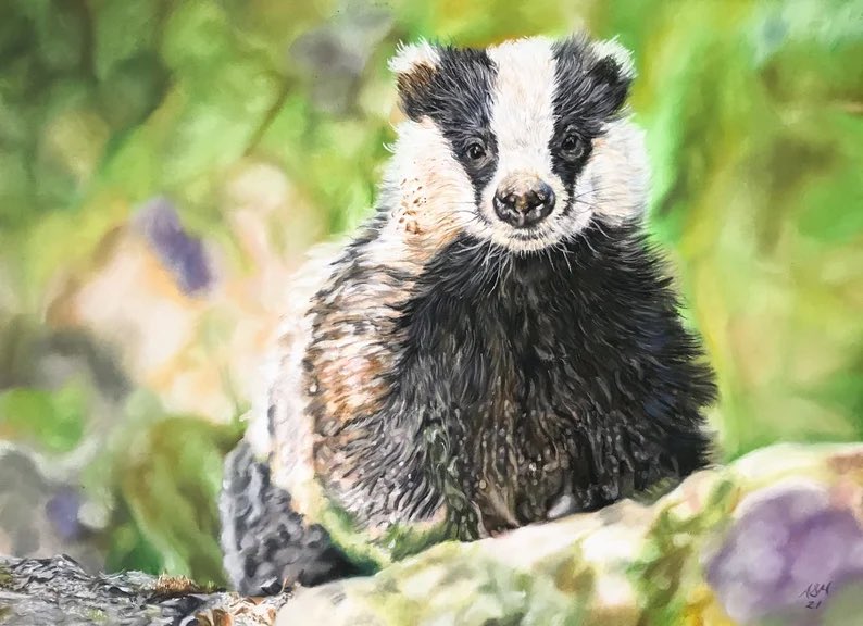FOR SALE 
This cheerful little badger, original in pastel pencils and sticks on pastelmat paper, is available to buy from my Etsy Shop.

etsy.com/uk/listing/105…
#art #badger #animalart #wildlifeart #artforsale