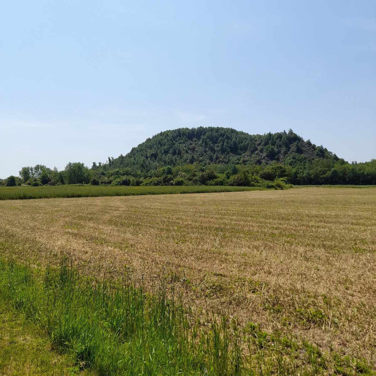 OsmoseTerrils's tweet photo. Un terril c'est un pointu ou un plutôt plat ou un pointu plat.
#loosengohelle #grenay #mazingarbe https://t.co/Umg6EjATTf