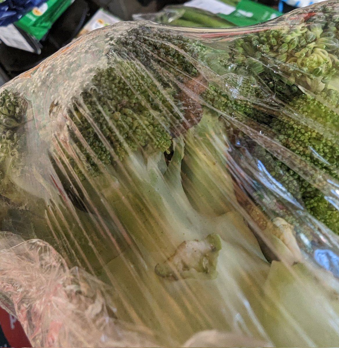 Kipz_'s tweet photo. @LidlGB just found something extra in my broccoli this evening 🐛😄 https://t.co/Y1l0fm4Qfk