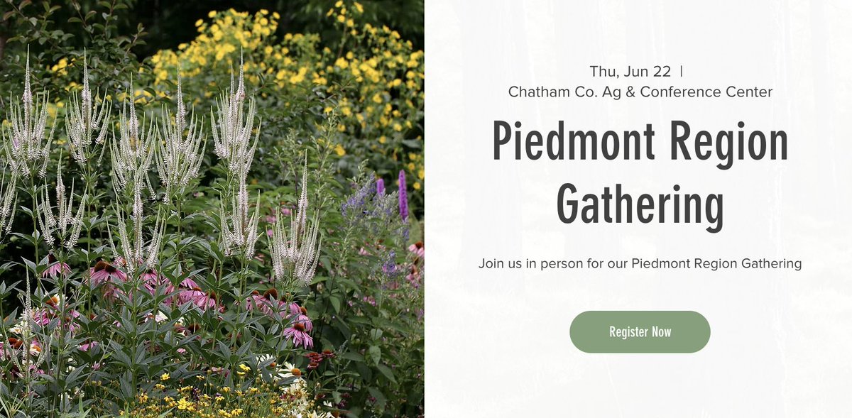 Join <a href="/ForestherNc/">ForestHer NC</a> for their 2023 Piedmont Region Gathering! This year's focus is All About Pollinators! Visit the Cooperative Extension Pollinator Paradise Demo Garden &amp; discuss pollinators in forests. Registration is $10 &amp; includes lunch. Register now!
foresthernc.org/events/piedmon…