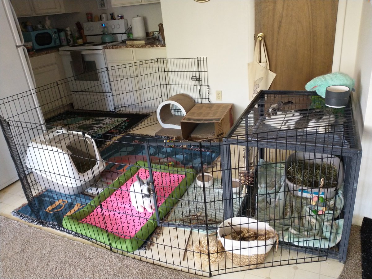 Princess Sephiroth 🍉 tweet media