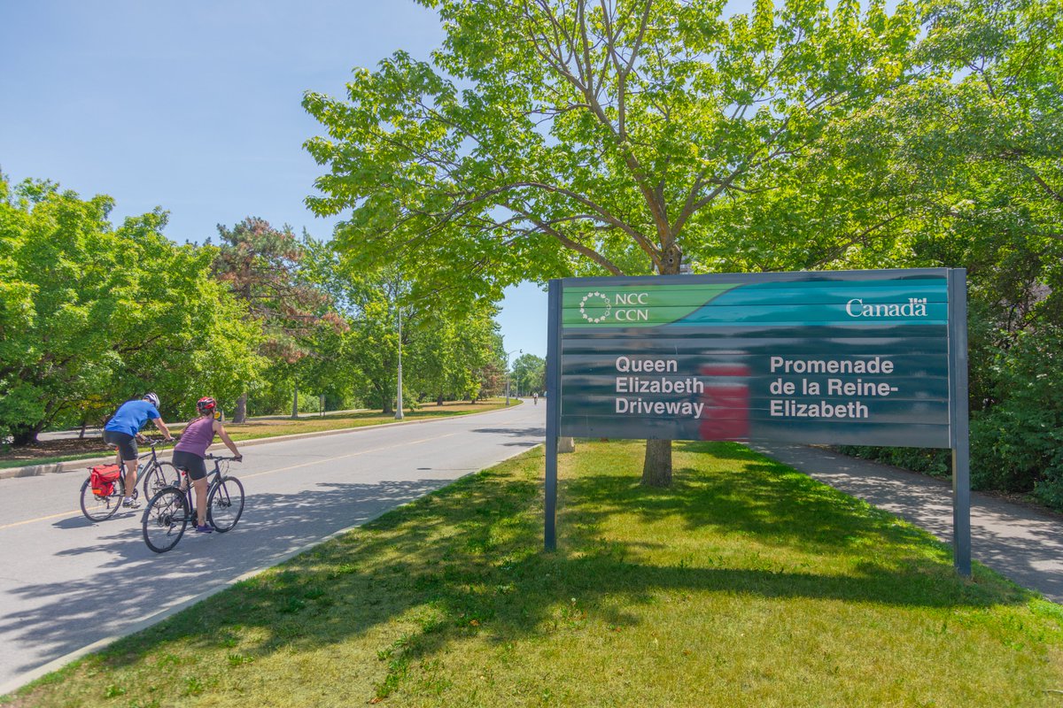 We’re celebrating #WorldBicycleDay on Saturday! 🌎🚲 
 
Our partners are organizing a group ride and activities for all ages:
📅 Saturday, June 3 
📍 Queen Elizabeth Driveway 
🕒 11 am – 3 pm

#ottbike #ottawa
