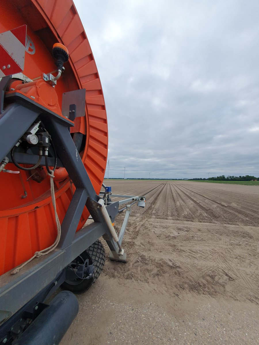 Jeffrey Mul tweet media