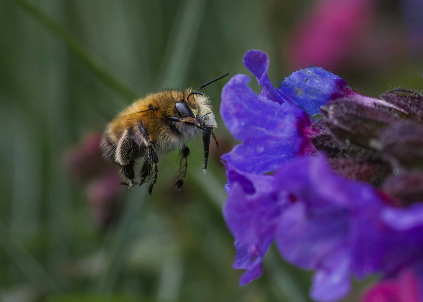 bbc-springwatch-on-twitter-find-out-how-to-make-your-own-bee-brick-at