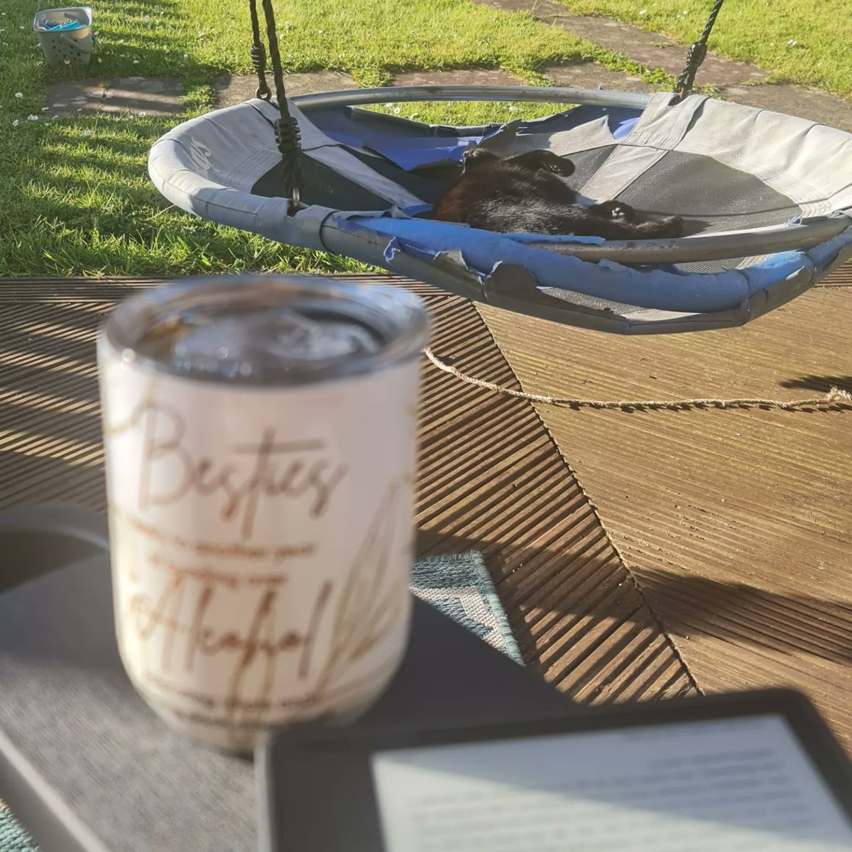 Exactly what was needed after the day I've had. 

Book
Cocktail
Sunshine
Cat on the swing

#BlossyLouCreations #winetumblers #sunshine #relax #wierdcat