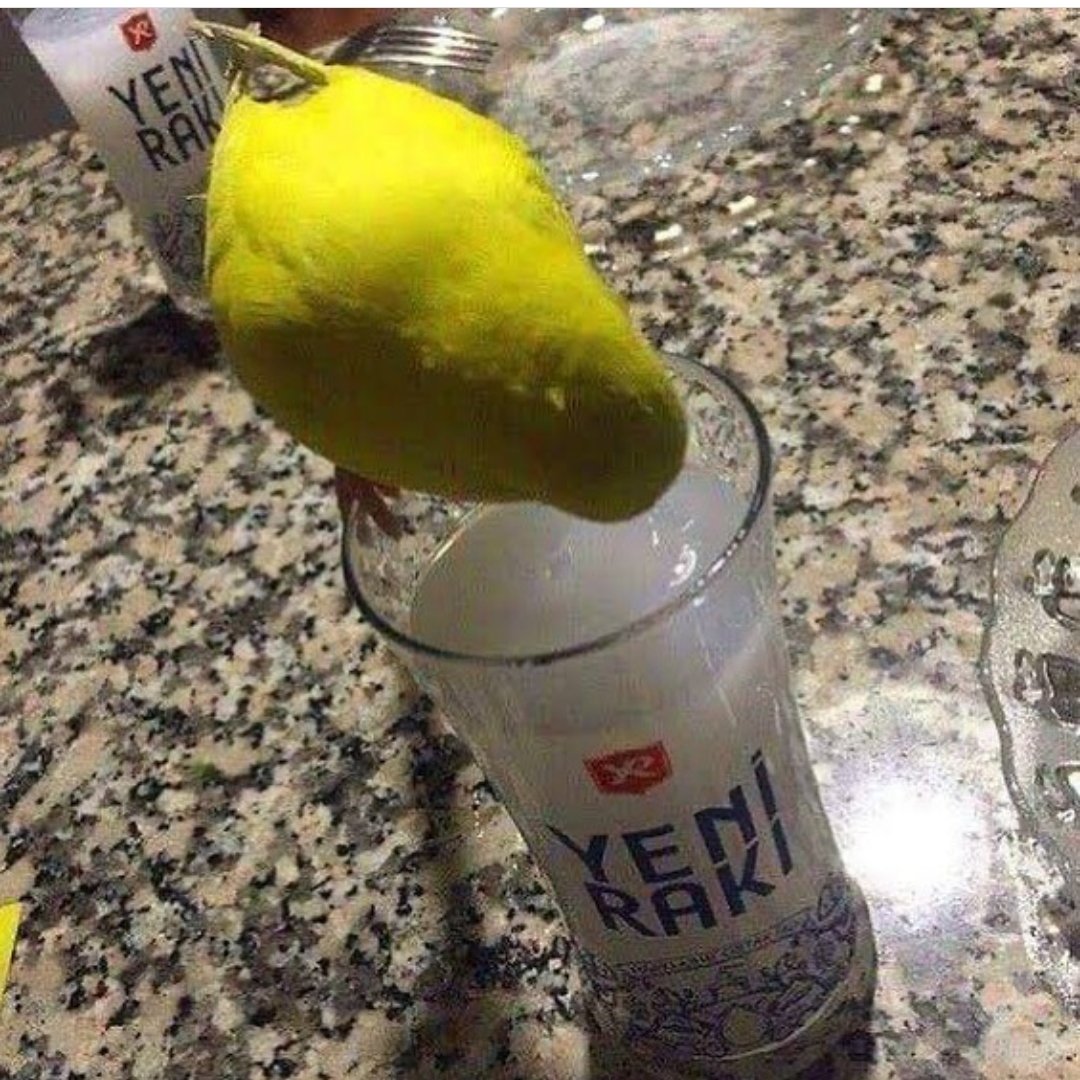 Ali Koç u yedirmeyiz 😂