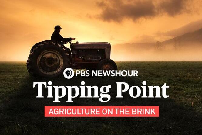 ACESIllinois's tweet photo. ICYMI: "Feeding a Heating Planet," the final edition of the @NewsHour "Tipping Point: Agriculture on the Brink" series

A thought-provoking discussion featuring industry leaders, ACES experts, &amp; award-winning journalist @milesobrien

Watch now🎥: https://t.co/CweTXf0NoY https://t.co/3JtKiqF3SX