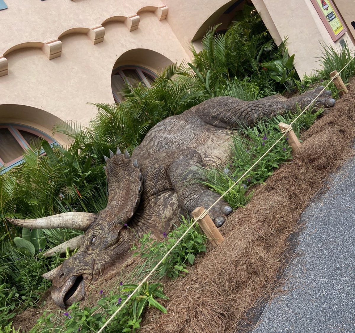 🤩 Trixie will spend the next few months living the movie star life at @UniversalORL! She starred in #jurassicpark & is part of a display marking its 30th anniversary. Trixie, gifted to GKTW by Universal Orlando, was moved from her spot in March by the Universal Creative team. 🎬