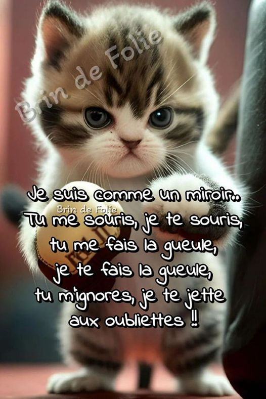 47_babeth tweet picture
