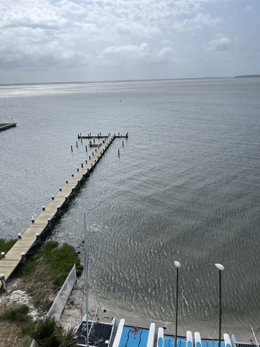 AlwaysCYA's tweet image. ✅