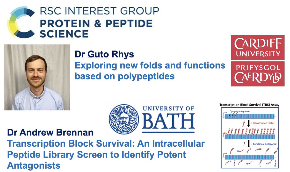 RSC Protein and Peptide Science Group tweet media