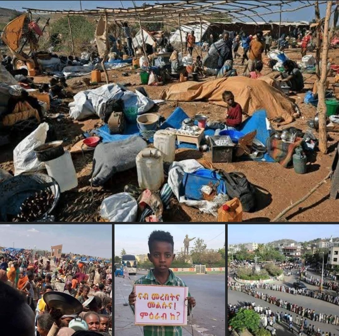 According to thelatest report announced by the Ethiopian Ombudsman Institution(EIO) in Tigray there are 3Million displaced people.#ReturnTegaruIDPs 
#EritreaOutOfTigray 
#AmharaOutOfTigray @SecBlinken @MikeHammerUSA @UN_HRC @EU_Commission @IntlCrimCourt @SenatorDurbin
@Hiwet7866