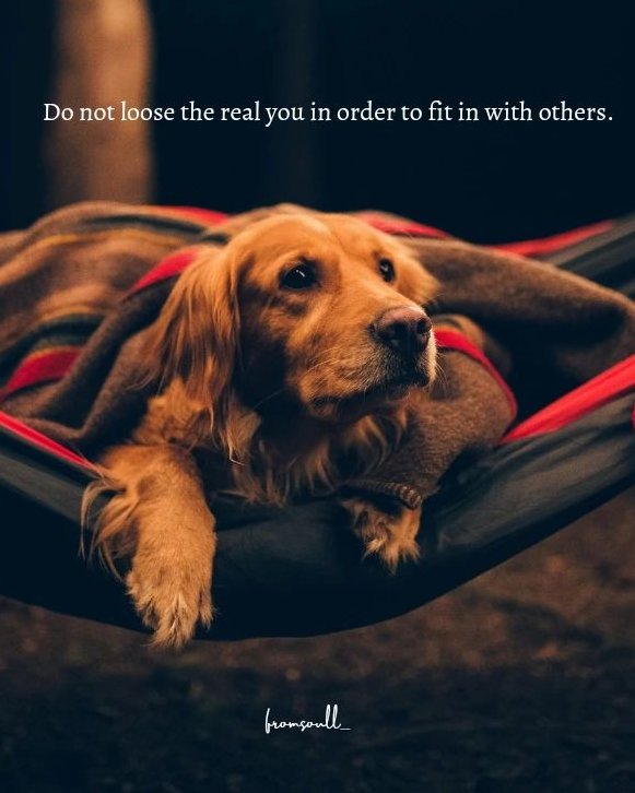 Mind_Essentials's tweet photo. 15 straightforward quotes on self care.  

1. https://t.co/Mabpyhkh0I