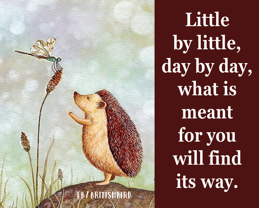 LifeWithJohn's tweet photo. Little by little, day by day, what is meant for you will find its way. ~ #Life #Inspiration https://t.co/nbmI5fwkCY