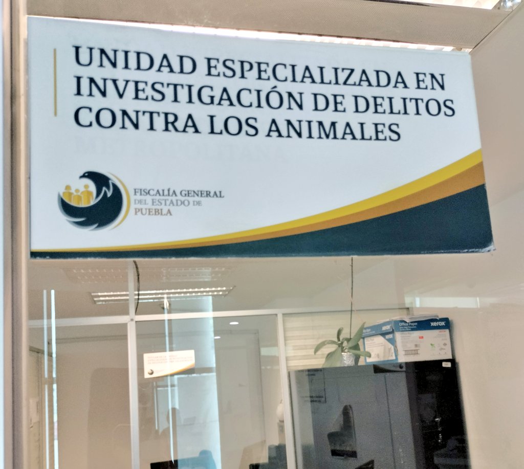 FundacionToby's tweet photo. Tendremos justicia!!!! https://t.co/VQZElgz6Hl