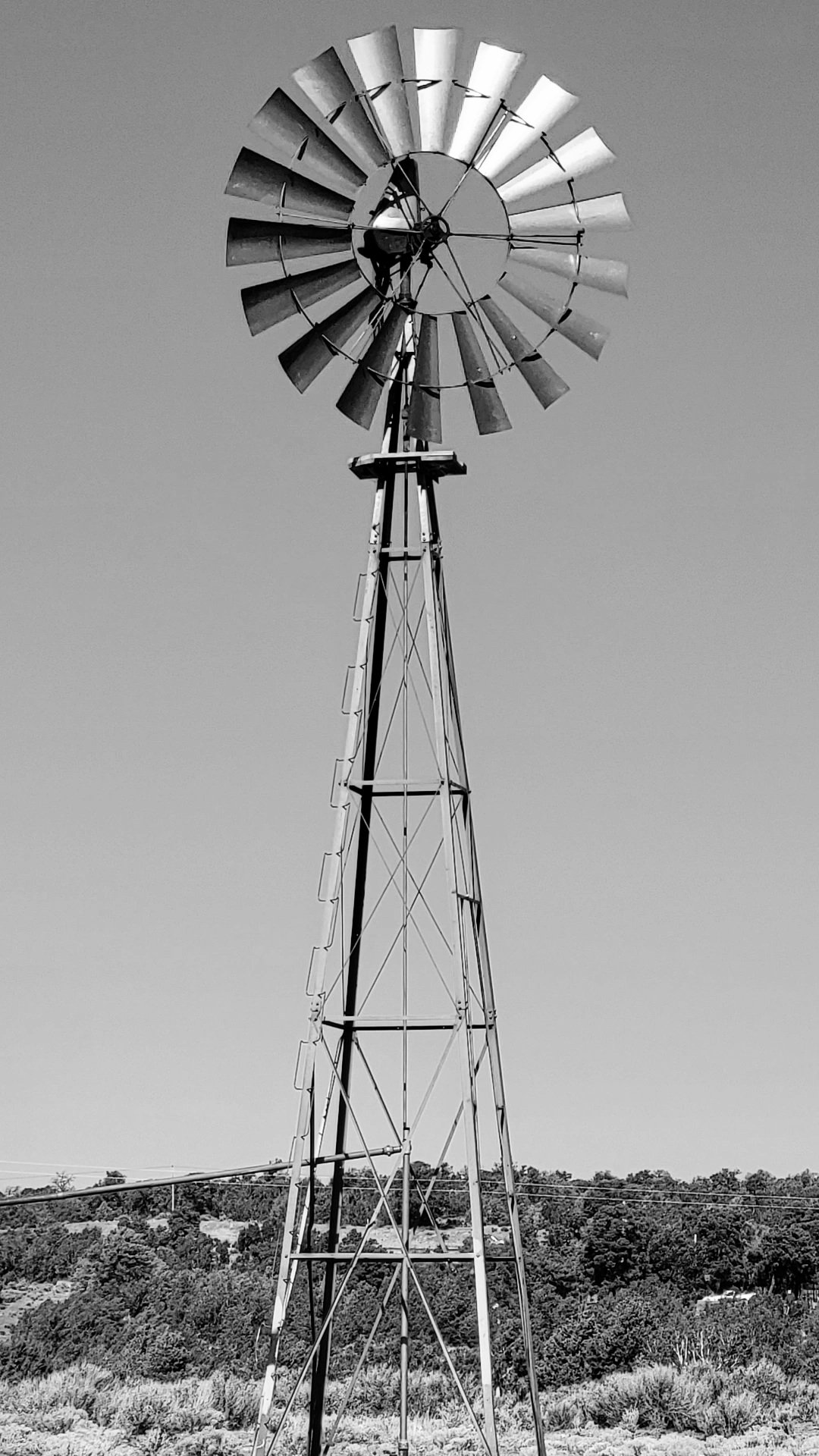 Emerson Leonard (enerleo212) / Twitter