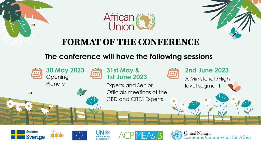 The @_AfricanUnion, Directorate od #SEBE is hosting a High-Hevel Conference on the Implementation of the Post2020 GBF and #CITES COP19 at the AU.HQ.  From 30 may to 2 June
Follow the conversation with: 
@ECA_OFFICIAL
@AfricanClimate
@ClimDevAfrica
@UNEP 
#EU
#Sweden
#ACPgroup
