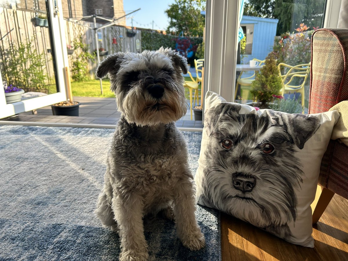 Ian Collen 🇪🇺 tweet media