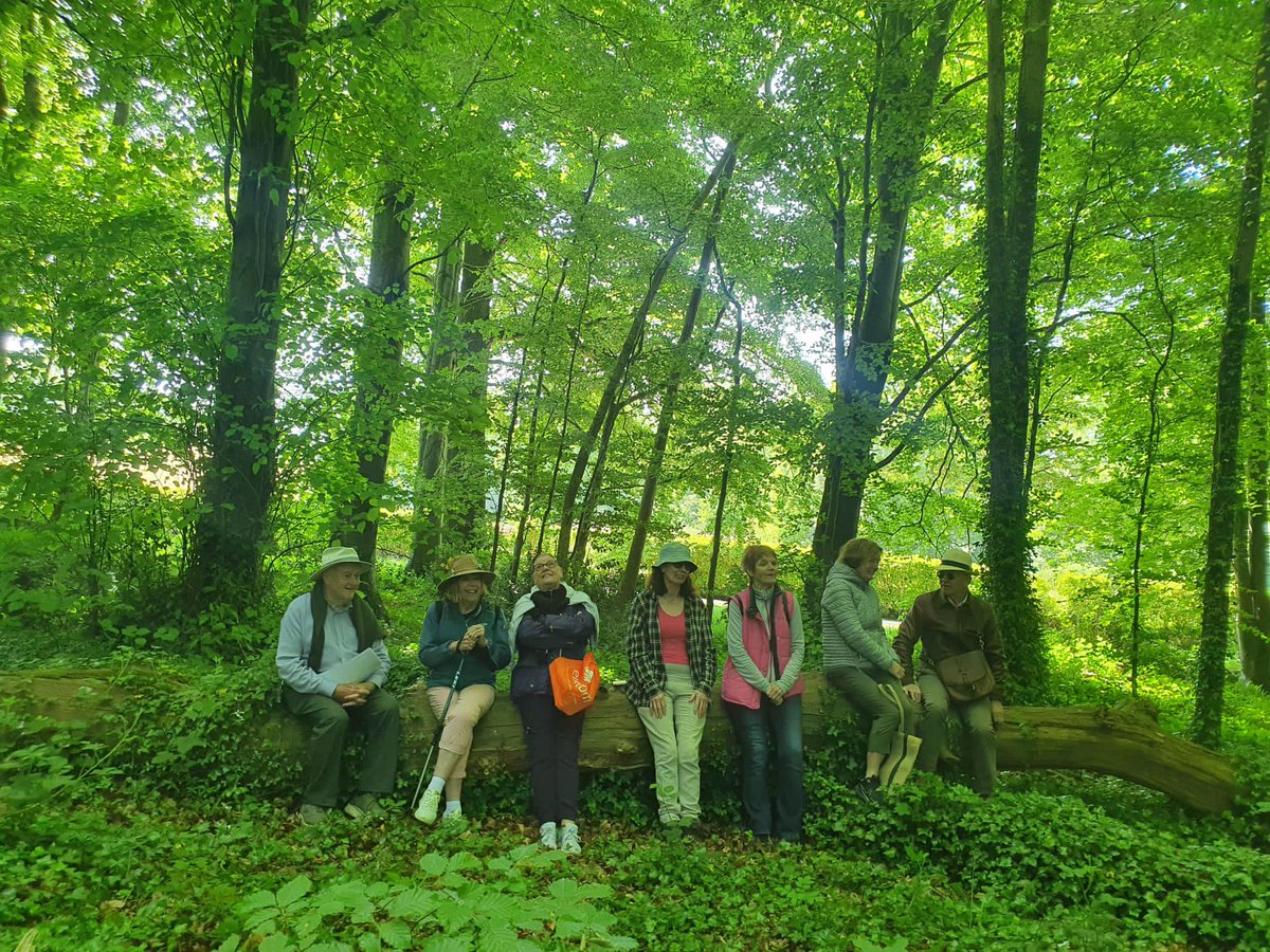 FloatingWorldIR's tweet image. a third of an inch per second
  The Elders taking a rehearsal break in best rehearsal space ever @killruddery