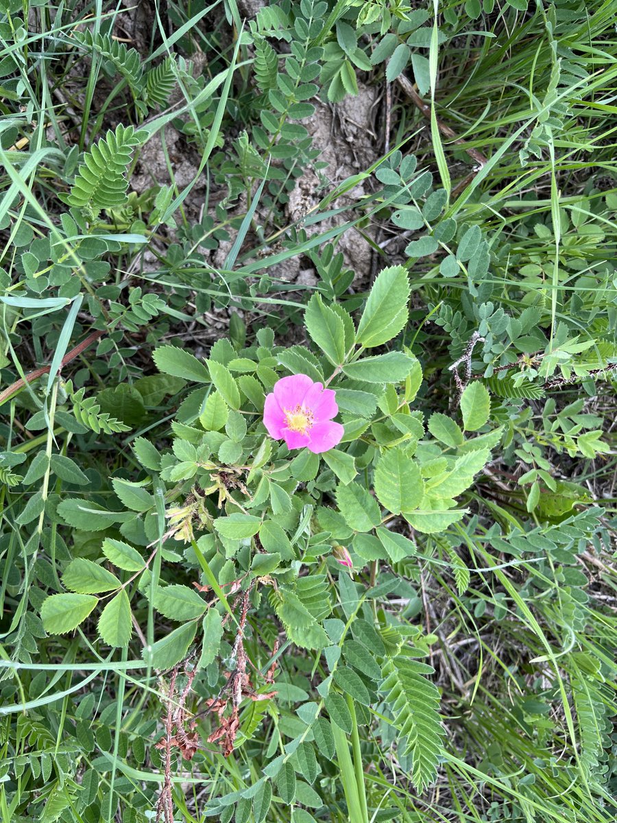 Trish Henderson (@trishhenderson3) on Twitter photo 