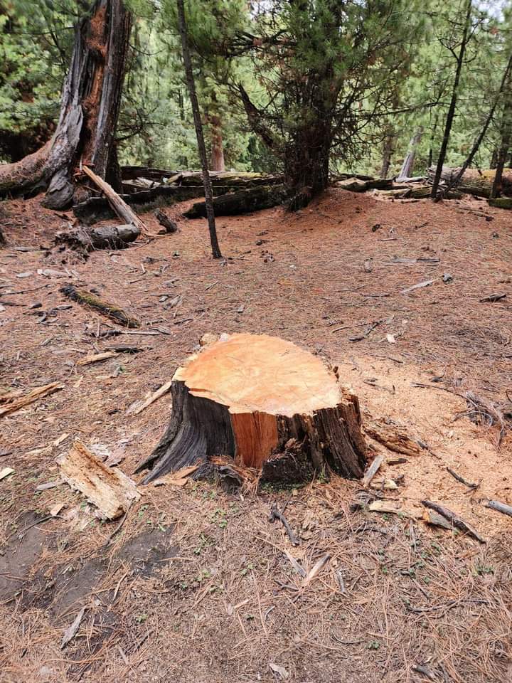 Kamran Ali 🇵🇰 tweet media