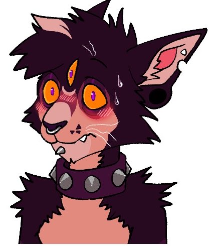 about my fursona🐾

Name: Luciel
Gender: Male
Species: Lykoi
Favorite Color: Purple
Main?: Yup
Weird fact?: He’s a whimsigoth. He collects crystals and will give you tarot readings.
Best quality: A third eye 👁️
What I dislike about them: GAY
Would I sell them: For a potato chip