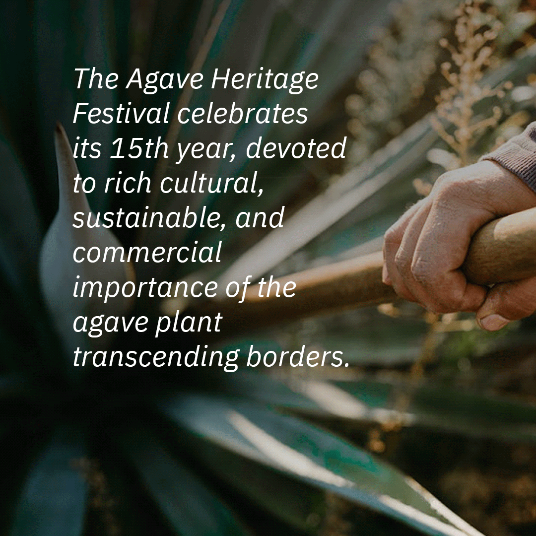 ShazeIndia's tweet photo. This 4-day festival celebrates all-things-agave.

Welcome to the world of hosting.
Know more- https://t.co/6NjmKV6H8i

#Shaze #hosting #agave #agaveheritagefeestival #agavespirits https://t.co/ev0d7FOzih