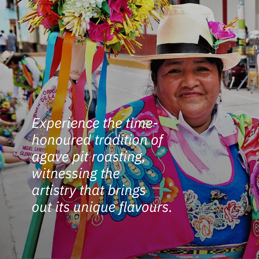 ShazeIndia's tweet photo. This 4-day festival celebrates all-things-agave.

Welcome to the world of hosting.
Know more- https://t.co/6NjmKV6H8i

#Shaze #hosting #agave #agaveheritagefeestival #agavespirits https://t.co/ev0d7FOzih